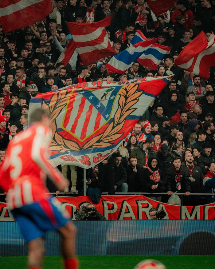 段瑾瑜搭档两匹爱驹摘夺四冠，广东马术联赛第九站完美收官！