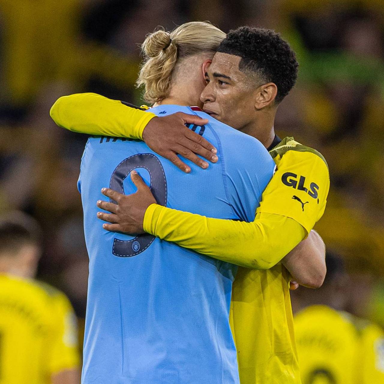 After This Bag, You’ll Wonder Why You Ever Used Anything Else.（Once You Try This Bag, You Won't Want Anything Else）